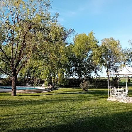Antico Casale Dei Sogni Agriturismo Lugo  Exterior foto