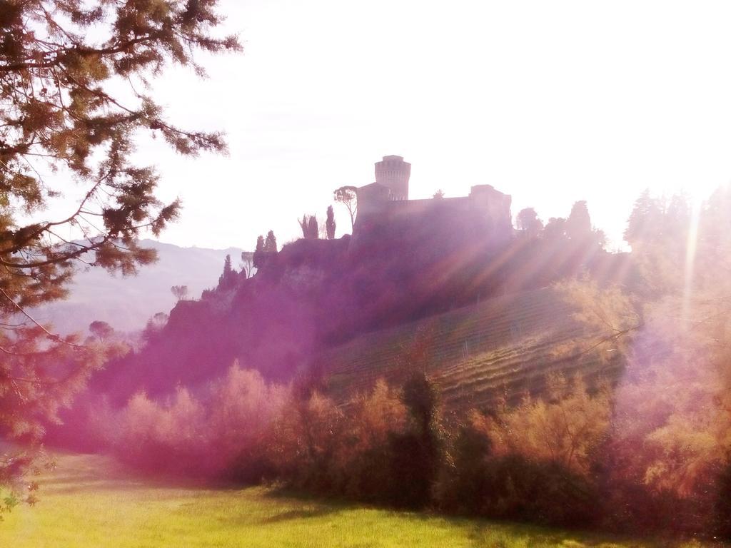 Antico Casale Dei Sogni Agriturismo Lugo  Exterior foto