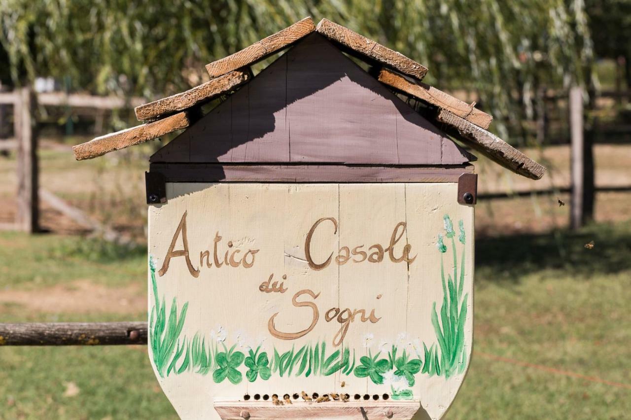 Antico Casale Dei Sogni Agriturismo Lugo  Exterior foto